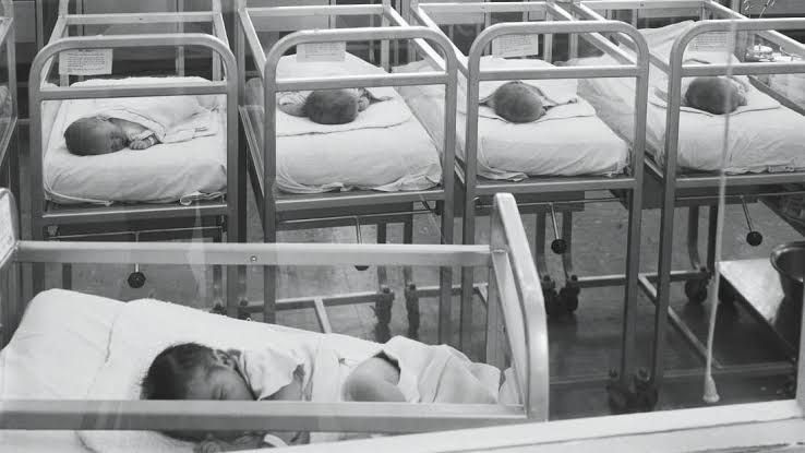 Newborn baby cribs inside a quiet hospital nursery, representing the need for improved maternal mental health resources.