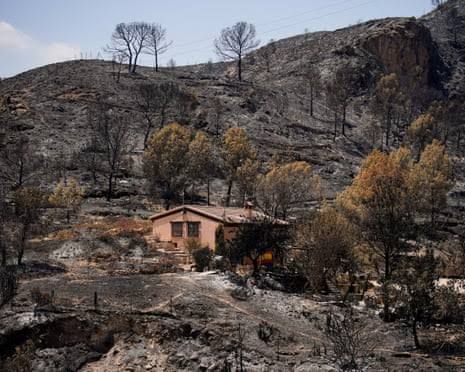 Burned-out landscape and emergency vehicles in Almeria province following the forest fires in southern Spain.
