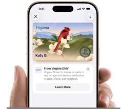 A close-up of a hand holding an iPhone displaying a digital Virginia driver's license inside the Apple Wallet app.