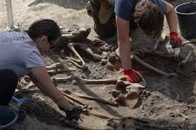 Archaeologists examine human remains at the Volyn massacre site near Ostrivky, Ukraine, during an ongoing exhumation process.