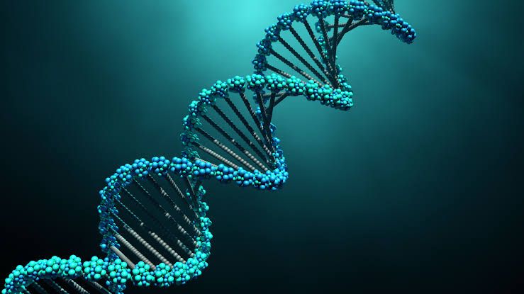 A stylized 3D representation of a double-helix DNA strand against a clean background representing medical research.