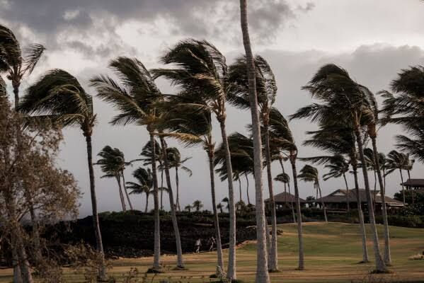 A vehicle drives near a downed utility pole dangling above Mamalahoa Highway during Hurricane Lala in Hawaii.