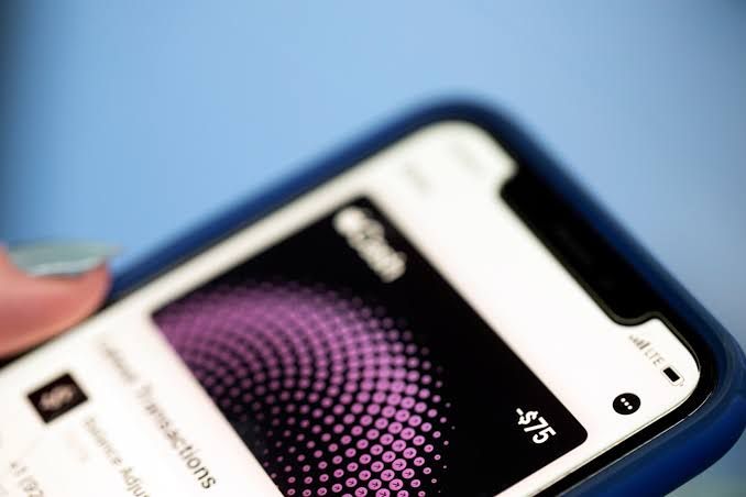 A smartphone displaying a digital Virginia driver's license inside the Apple Wallet application.