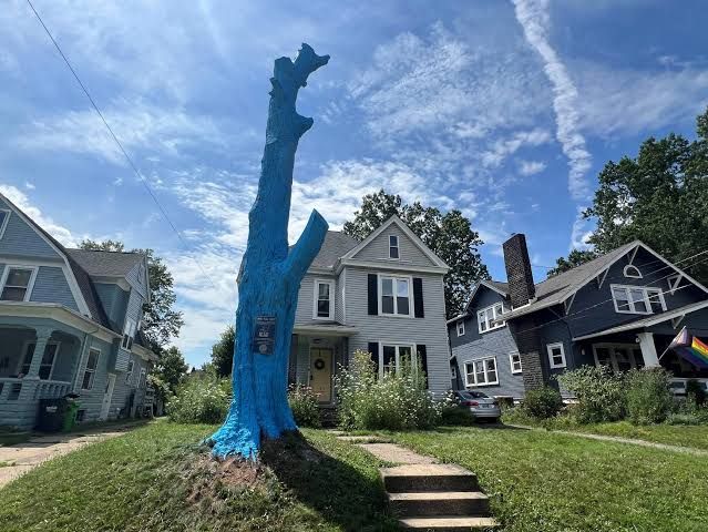 A blue-painted tree at 746 Quinby Ave. in Wooster serving as a mental health awareness marker.