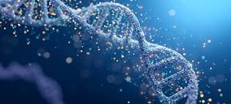 Researchers at the lab analyzing genomic data to study how caloric restriction impacts DNA mutation rates in mice.
