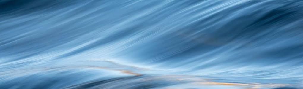 A stylized abstract background representing complex legal assessment and professional organizational structure.