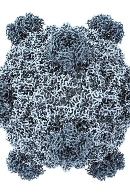 A digital visualization showing colorful protein structures predicted by AI from bacterial DNA sequences.