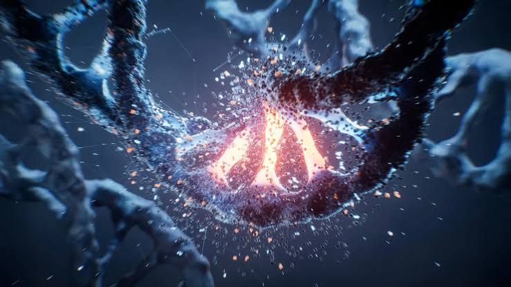 A 3D rendering of a human heart next to a diagram of folded DNA strands and protein markers.