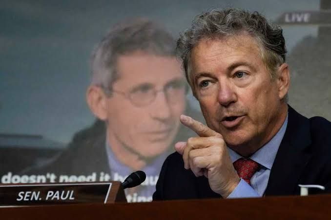 Senator Rand Paul questioning Dr. Anthony Fauci during a 2022 Senate committee hearing on pandemic response.