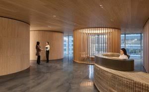 Modern interior of a Toronto law office featuring white oak finishes and natural light.