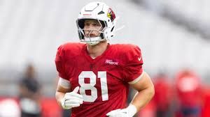 Travis Vokolek in his Cardinals jersey during a game.