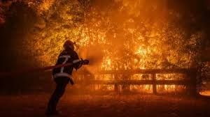 Firefighter battling a large wildfire near Ares in southwestern France.
