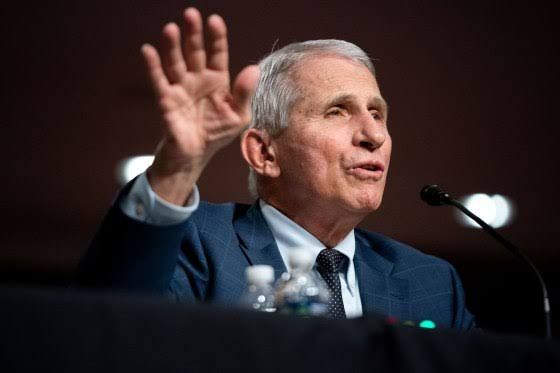 Dr. Anthony Fauci sits before a Senate committee hearing to address questions regarding the Covid-19 pandemic.