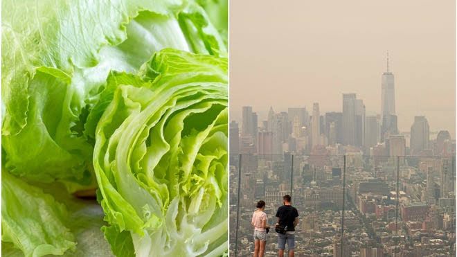 A collage showing lettuce leaves and thick grey wildfire smoke obscuring a city skyline.