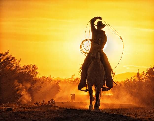 A photograph of cowboys working at a ranch in Gold Canyon, Arizona, as featured in the 2026 Washington Post photo contest.
