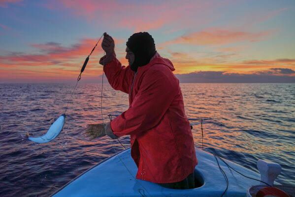 Fisherman Photis Gaitanos inspects a catch of invasive lionfish on his boat in the eastern Mediterranean.