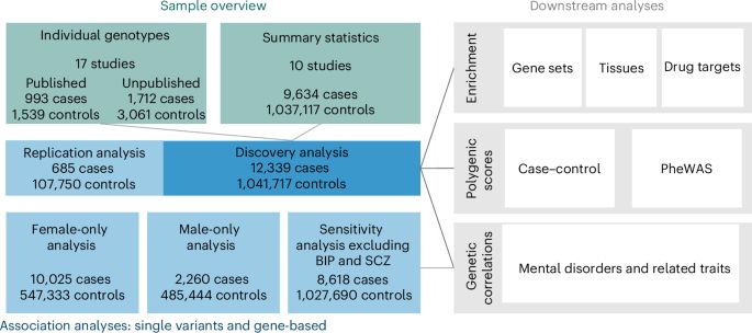 A Manhattan plot visualizes genetic risk loci across chromosomes for borderline personality disorder research.