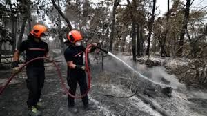 Firefighters in black gear and orange helmets spray water on burned ground in the Fontainebleau forest.