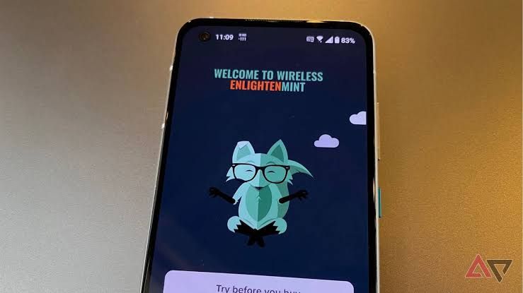 Mint Mobile logo displayed against a clean background to promote their home internet and mobile bundle service.