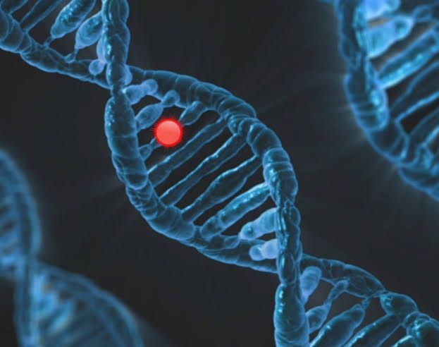 A clinical laboratory microscope focusing on genetic sequencing samples for Parkinson's disease research.
