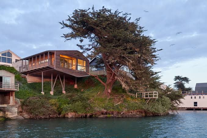 Wooden cottage in Bodega Bay with coastal view and modern minimalist design features.