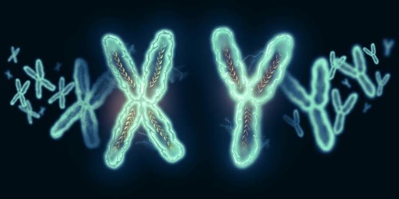 A stylized 3D illustration of human chromosomes floating against a dark blue background.