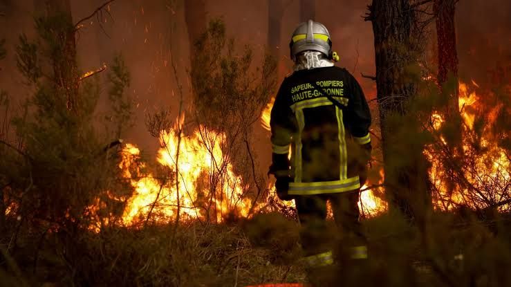 Firefighters battle a massive blaze in Cotignac France with smoke rising from scorched forest land.