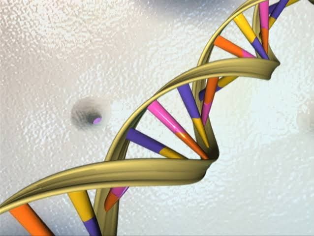Scientists at deCODE Genetics analyzing genetic data on screens to identify new Parkinson’s disease variants.