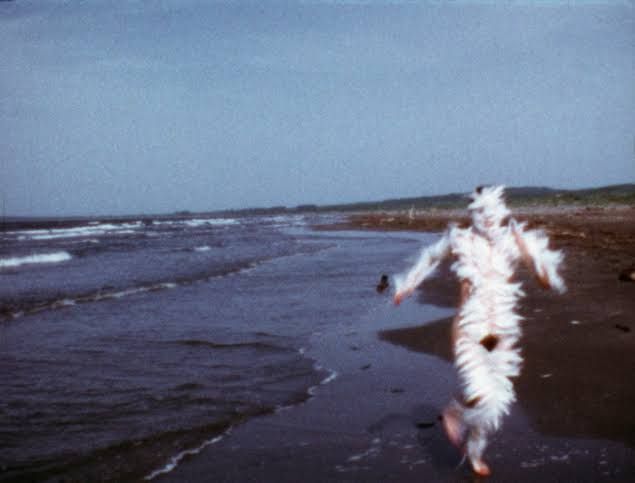 A silhouette of Ana Mendieta carved into the sand on a beach showing the intersection of human form and natural landscape.