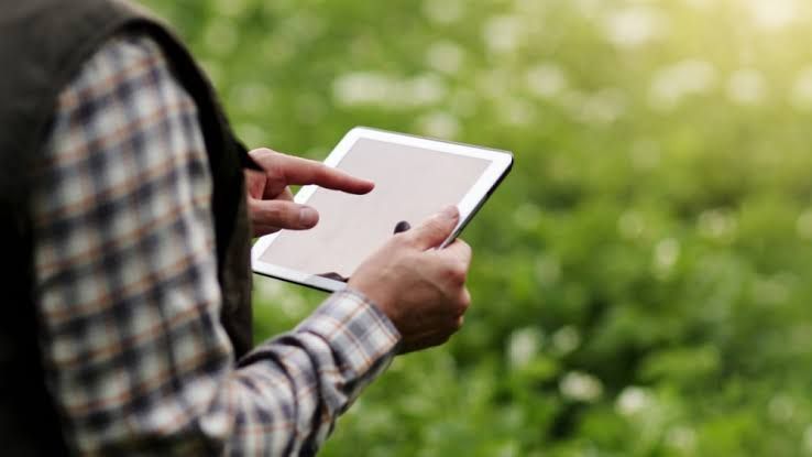 Farmer using a digital tablet to monitor crop data in a field, representing agricultural digitalization.