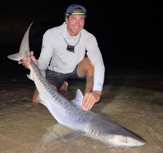 Nate Rouette releasing a juvenile tiger shark in the surf at a beach in Falmouth, Massachusetts.