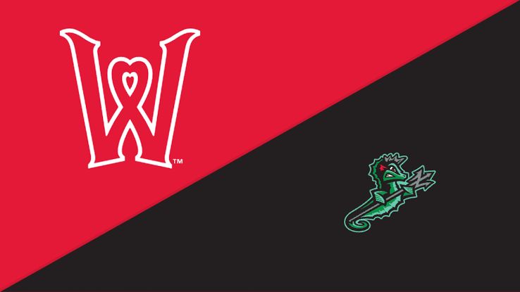 Minor League Baseball logo on a white background representing the organization.