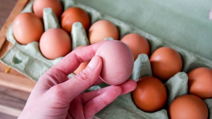 A person holding a raw egg as part of a food safety demonstration regarding the recent salmonella outbreak.