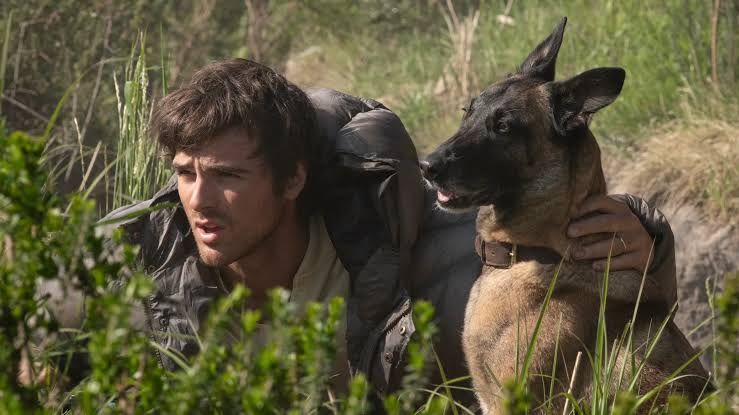 Jacob Elordi stands next to a rusted airplane in a desolate, post-apocalyptic landscape for The Dog Stars.