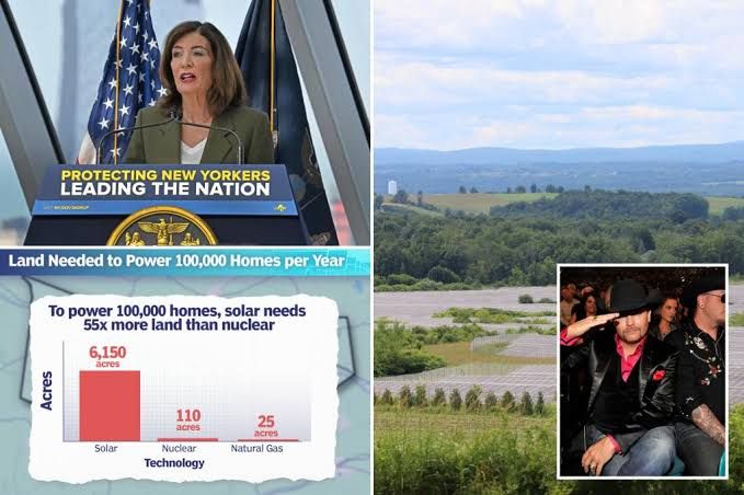 Solar panels installed on large swaths of agricultural land in Kingsbury, New York with trees in the background.