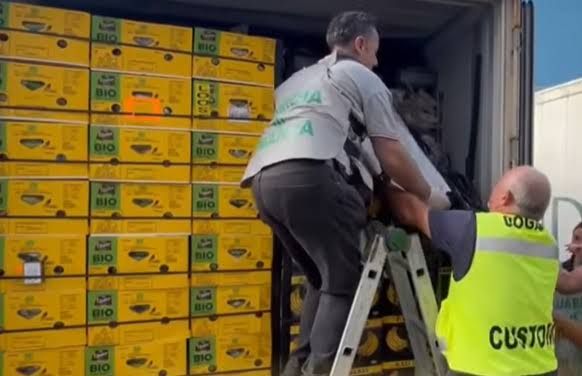 Italian police officers inspect containers of bananas at the Vado Ligure port where 1,700 pounds of cocaine were found.