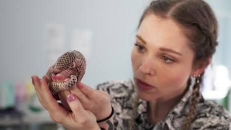 A customs officer holds up confiscated pangolin scales that were being smuggled into Thailand from Laos.