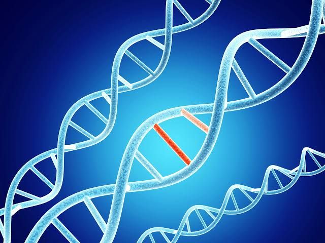 Close up illustration of human DNA strands representing genetic variants in medical research.