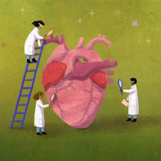 A stylized medical illustration depicting a cardiologist examining heart health charts in a clinical setting.