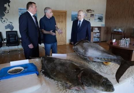 Vladimir Putin visiting a fish processing plant during his trip to the disputed Kuril Islands.