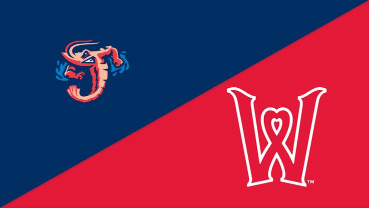 Minor League Baseball logo on a dark background.