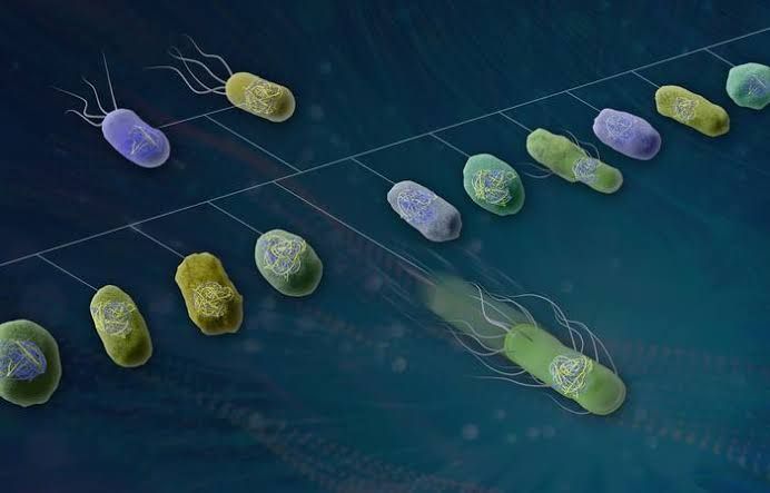 Automated robotic systems in the Oak Ridge National Laboratory processing microbial samples for genetic analysis.